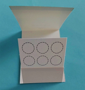 新生儿采血卡六环三折